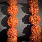 Combo Rudraksha Bracelets